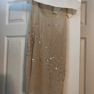 Club Monaco Dressy Tank